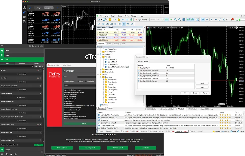 Choose how to start Algotrading